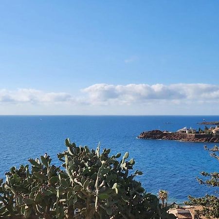 Petit Paradis Vue Mer- Plage Et Calanques A 3 Mn Сен-Рафаэль Экстерьер фото